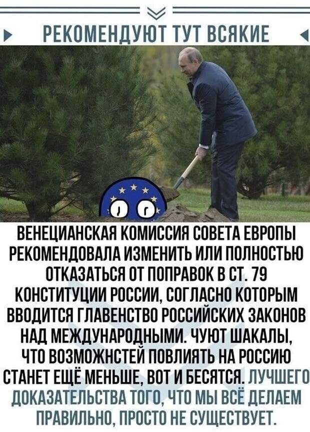 Политические картинки