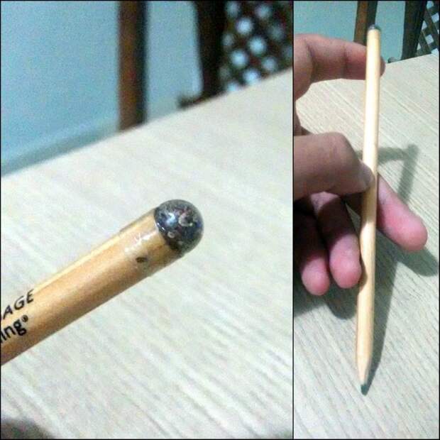Когда мой карандаш станет слишком мал, его можно посадить, и из него вырастет дерево. Так как в его кончике спрятаны семена