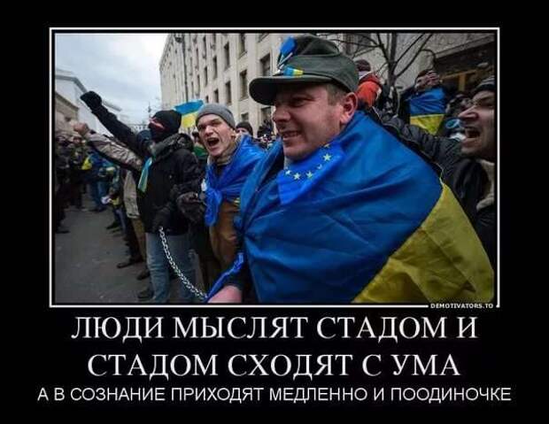 Прикольные демотиваторы с надписями. Подборка chert-poberi-dem-chert-poberi-dem-54200303112020-18 картинка chert-poberi-dem-54200303112020-18