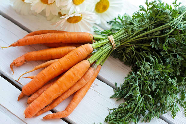 Издание Al-Ain посоветовало есть морковь для профилактики рака и ожирения
