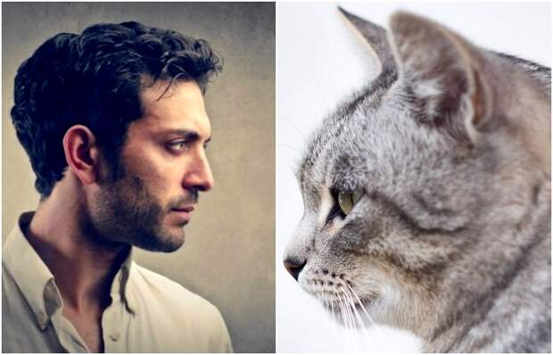 Зачем нам копчик, или 6 частей человеческого тела, которые утратили функциональность