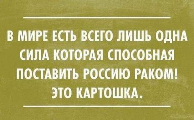 Смотреть прикольные картинки с шутками