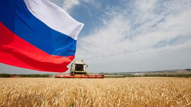 Умопомрачительные результаты сельского хозяйства РФ
