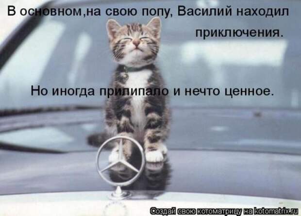 Свежий сборник котоматриц (34 шт)
