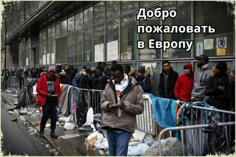 Борцов за «европейское будущее России» макнули головой в европейскую реальность