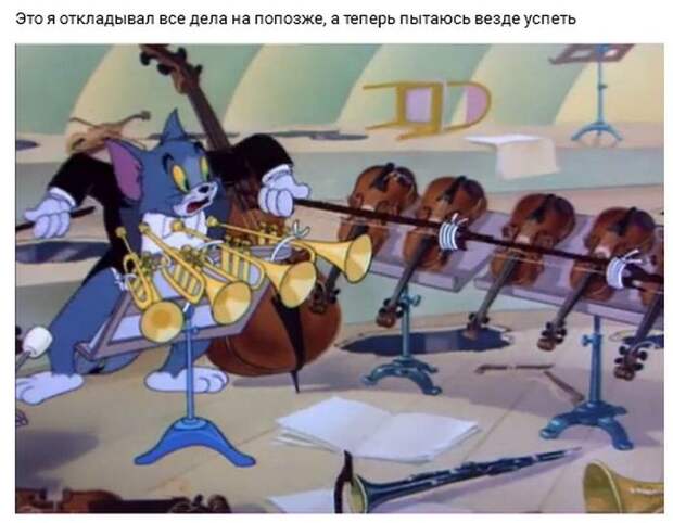 Картинки с надписями мем, прикол, юмор