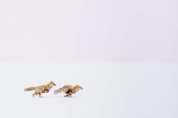 Лучшие фотографии из путешествий по версии National Geographic — 2016