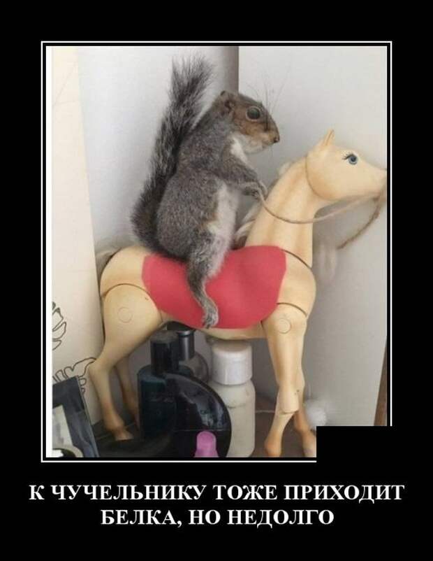 www.vsyako.net