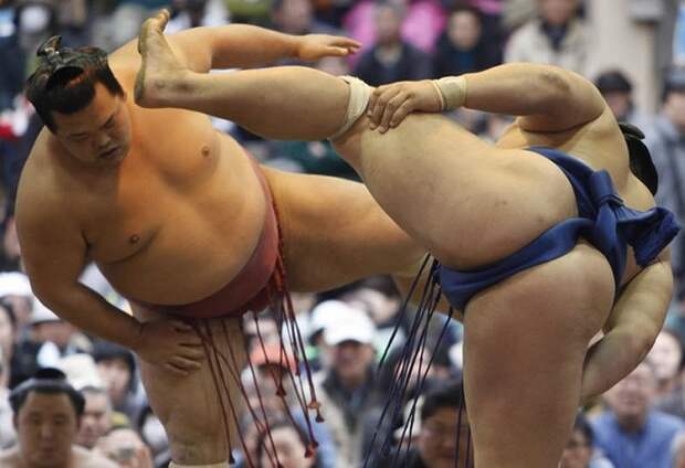 Самые интересные факты о борьбе сумо