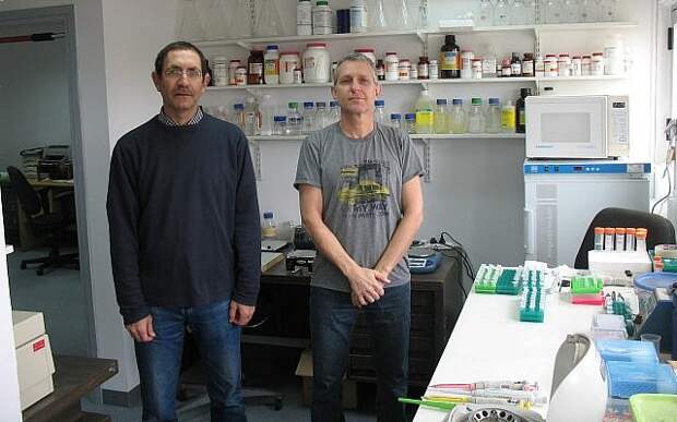 CEO and founder of the startup Accelerated Evolution Biotechnologies Ltd. (AEBI) Ilan Morad, right, with Hanan Itzhaki, the chief science officer, at their lab (Courtesy)