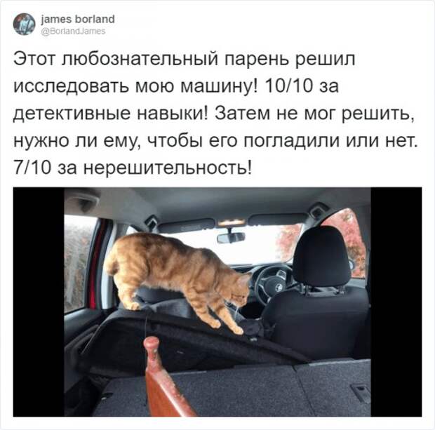 www.vsyako.net