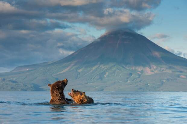 anton_agarkov / nat-geo.ru