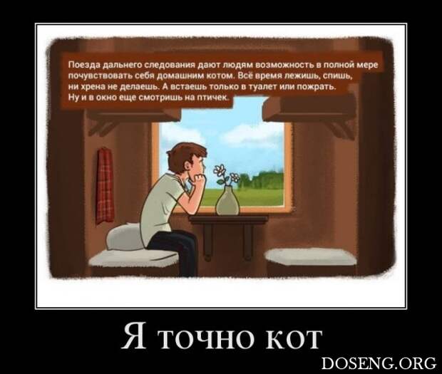 Демотиваторы Демотиваторы