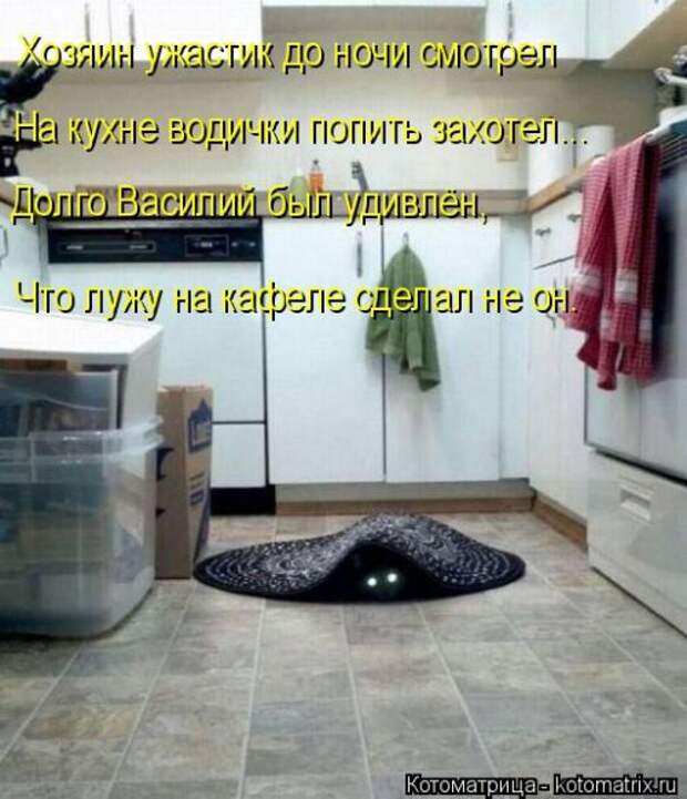Свежий сборник котоматриц (34 шт)