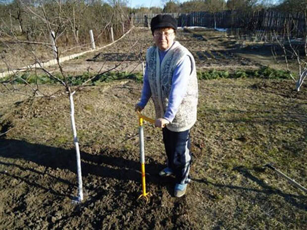 использование культиватора ручного в саду