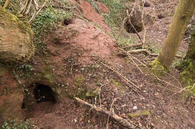 Кроличья нора 700 лет скрывала за собой вход в пещеру тамплиеров (7 фото)