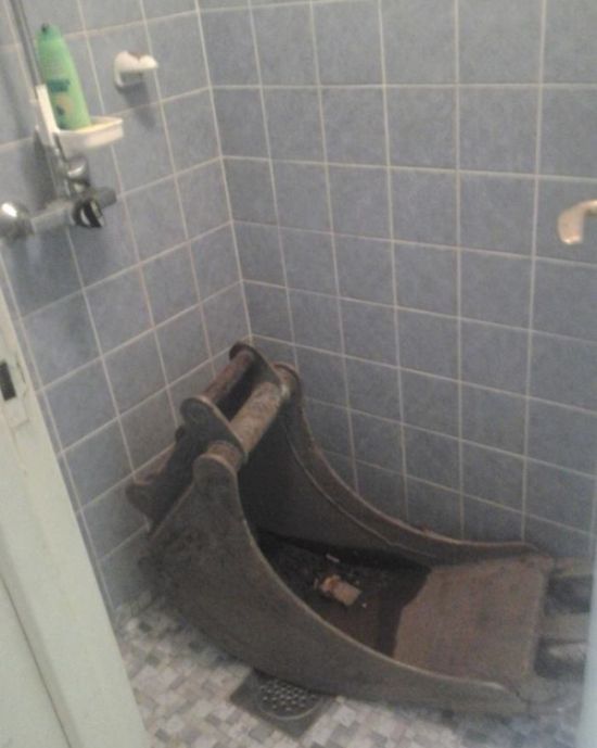 Прикольные картинки Прикольные картинки