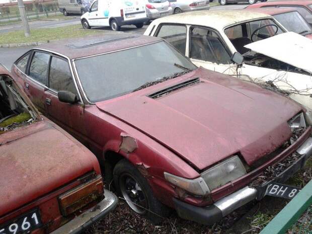 авто, автомобили, польша