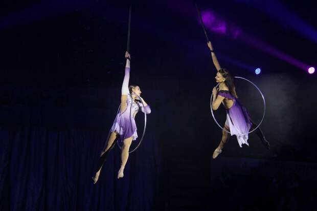 В Донбассе прошли гастроли Росгосцирка