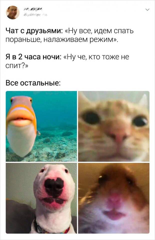 www.vsyako.net