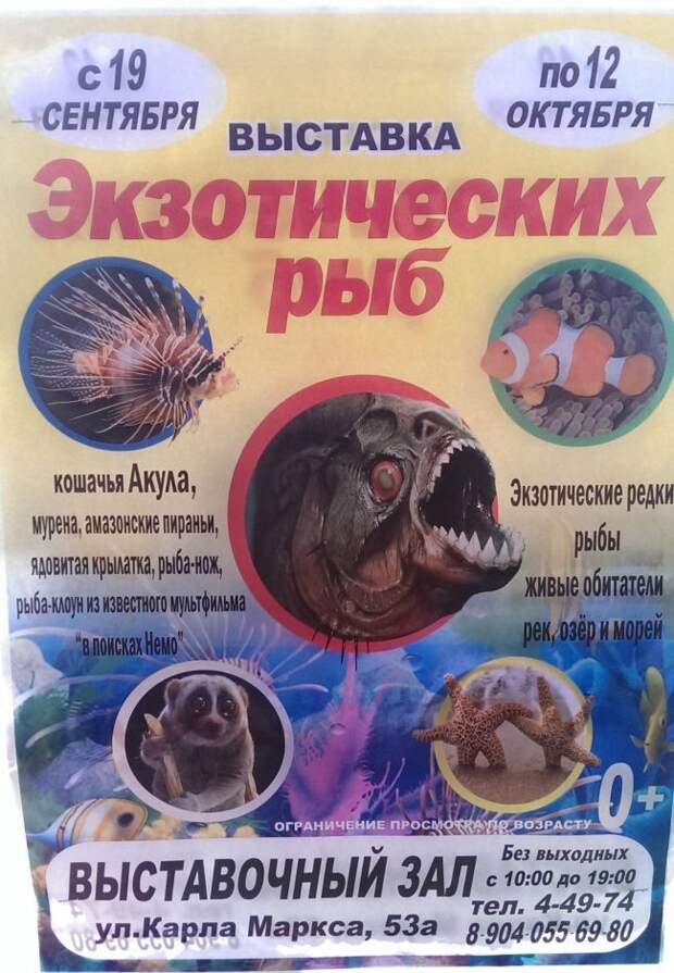 Креатив и маразмы