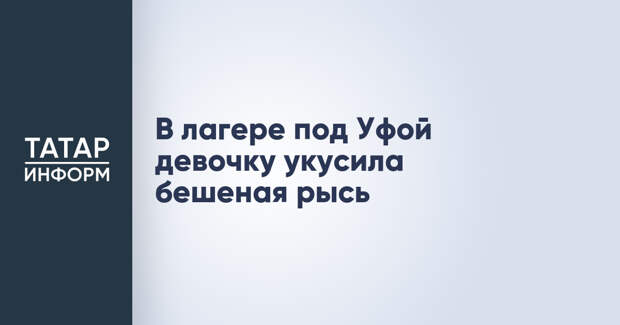 В лагере под Уфой девочку укусила бешеная рысь