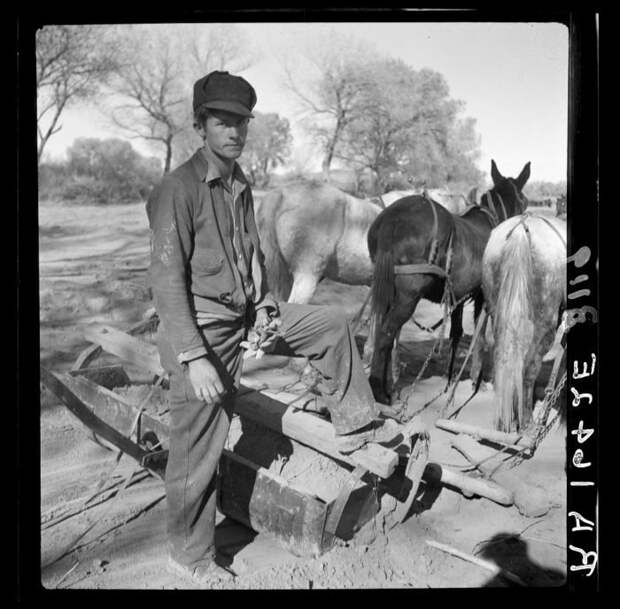 Мужчина за работой. Фермы Боске. 30-е годы, америка, великая депрессия, исторические кадры, история, редкие фото, сша, фото
