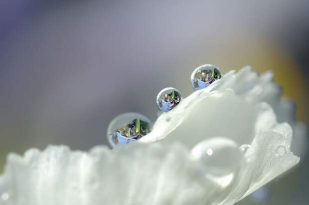 Есть только миг между прошлым и будущем... Есть только миг между прошлым и будущем...