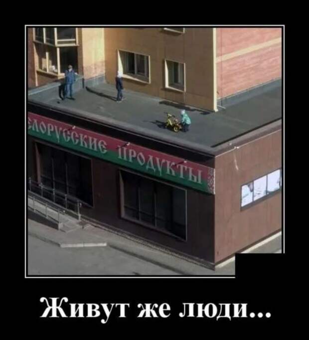 Прикольные демотиваторы с надписями. Подборка chert-poberi-dem-chert-poberi-dem-24120412112020-8 картинка chert-poberi-dem-24120412112020-8