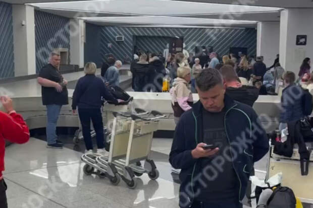 Осторожно, новости: в Шереметьево два часа не выдают багаж из-за снегопада