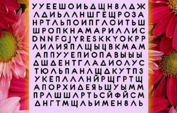 Тест личности: Название какого цветка вы увидели первым?