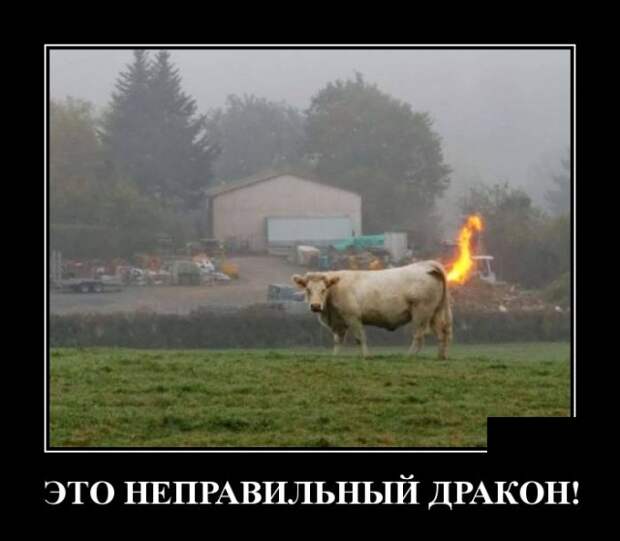Самые новые демотиваторы (30 фото)