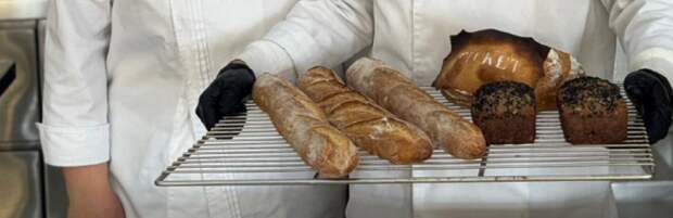 Студенты из Мангистау разработали уникальный безглютеновый хлеб