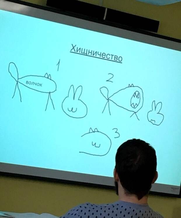 Наглядно о взаимоотношениях живых организмов Наглядно о взаимоотношениях живых организмов