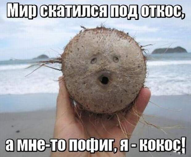 Забавные картинки и фото с надписью для настроения (10 фото) Забавные картинки и фото с надписью для настроения (10 фото)