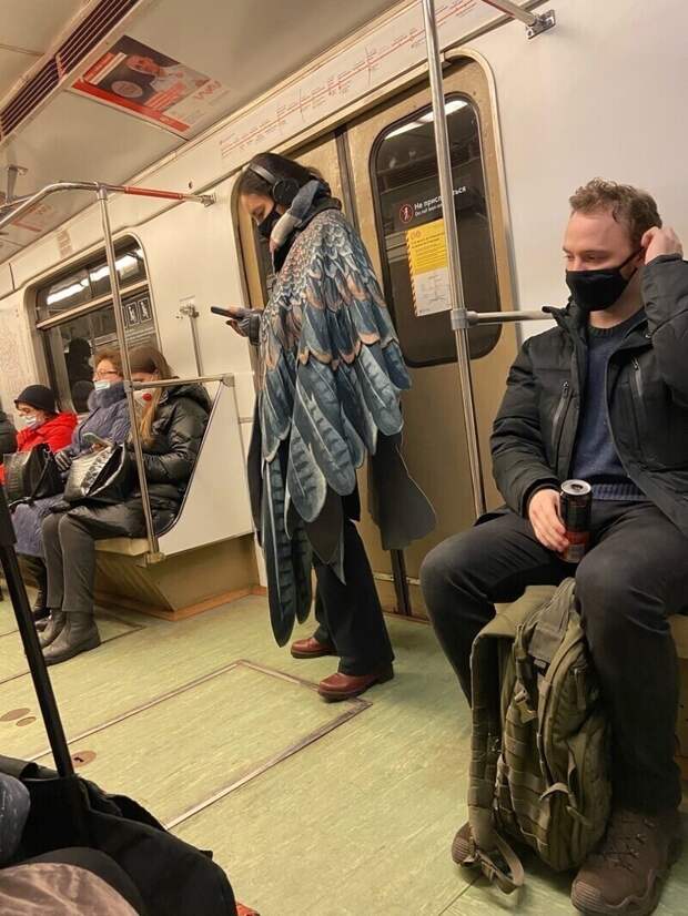 Что за птица? Что за птица?
