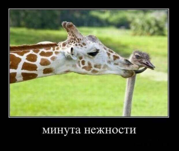 Демотиваторы. Подборка chert-poberi-chert-poberi-06230805052020-7 картинка chert-poberi-06230805052020-7