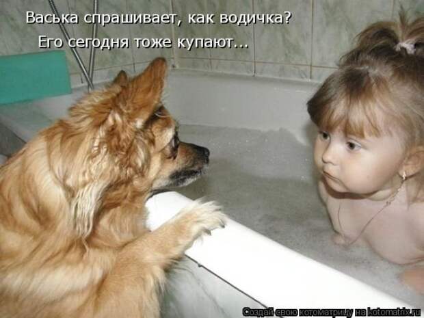 Котоматрицы великолепные, каждая с кусочком позитива и хорошего настроения!!!