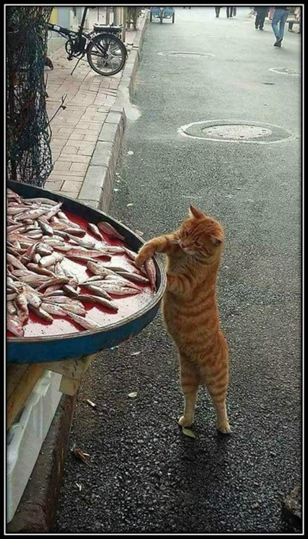 Фотографии, которые наполнят вашу душу радостью, теплотой