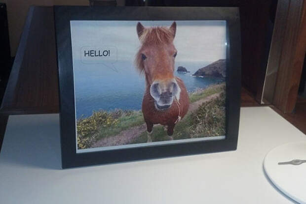 Every Time My Girlfriend And I Go On A Vacation, I Ask For A Picture Of Horse Saying 