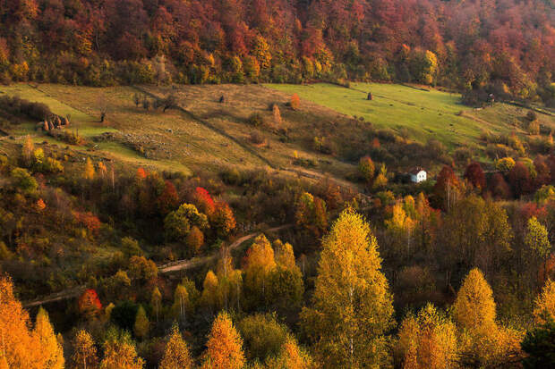 Захватывающая красота Трансильвании в 20 незабываемых снимках