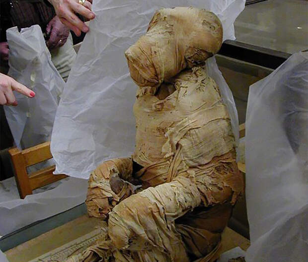Мумия бабуина, привезённого моряками Хатшепсут из Пунта. britishmuseum.org - Хатшепсут — владычица Древнего Египта | Warspot.ru