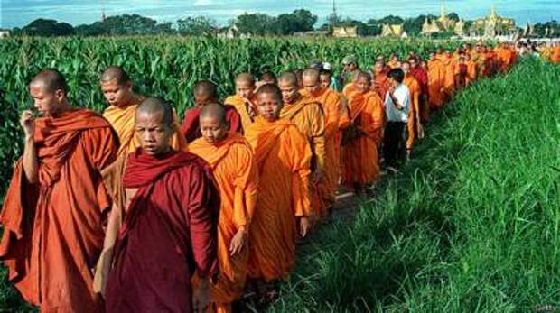 Буддистские монахи направляются в храм Сампов Трейлеак в Камбодже