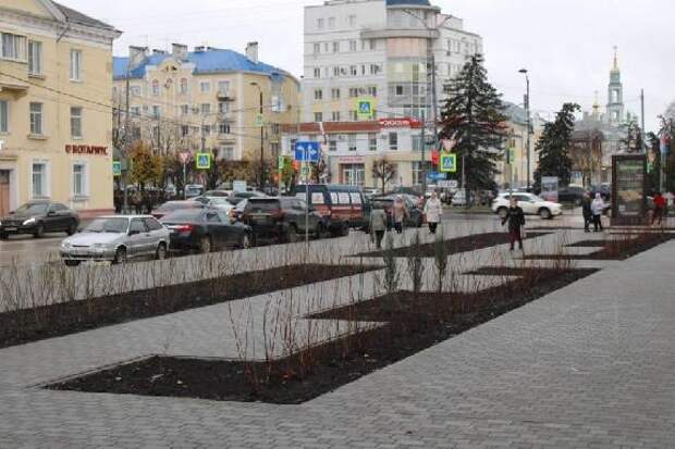 В Тамбове на Октябрьской завершили озеленение нового общественного пространства