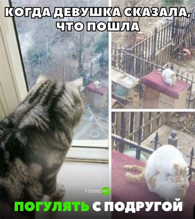 35 позитивных картинок, которые скрасят ваш рабочий день картинки, прикол, юмор