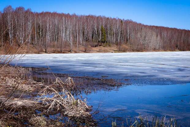 Россиянам назвали безопасную толщину льда
