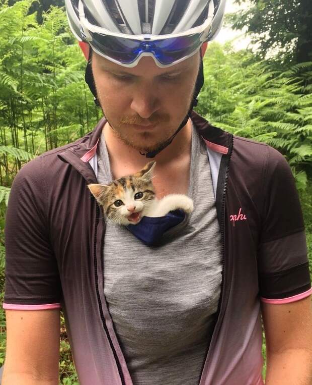 Одинокий котенок изо всех сил цеплялся за велосипедистов, чтобы те не уехали без него