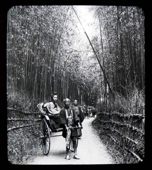 Место прогулок на рикшах, 1897 год.