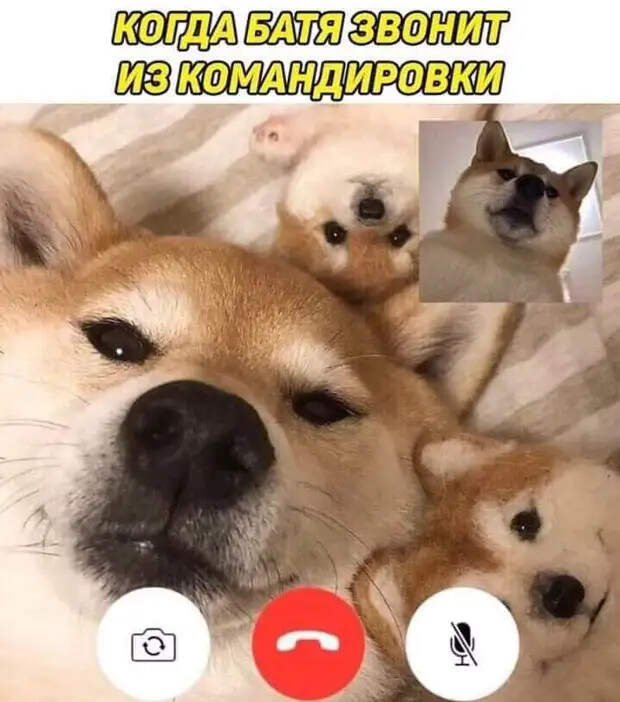 Ну что вы все докопались до этой несчастной уборщицы из "Газпрома"?...