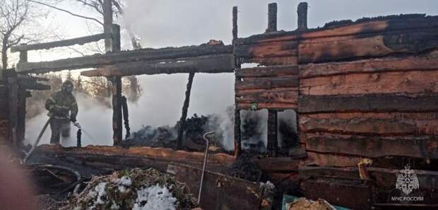 Фото: МЧС Алтайского края